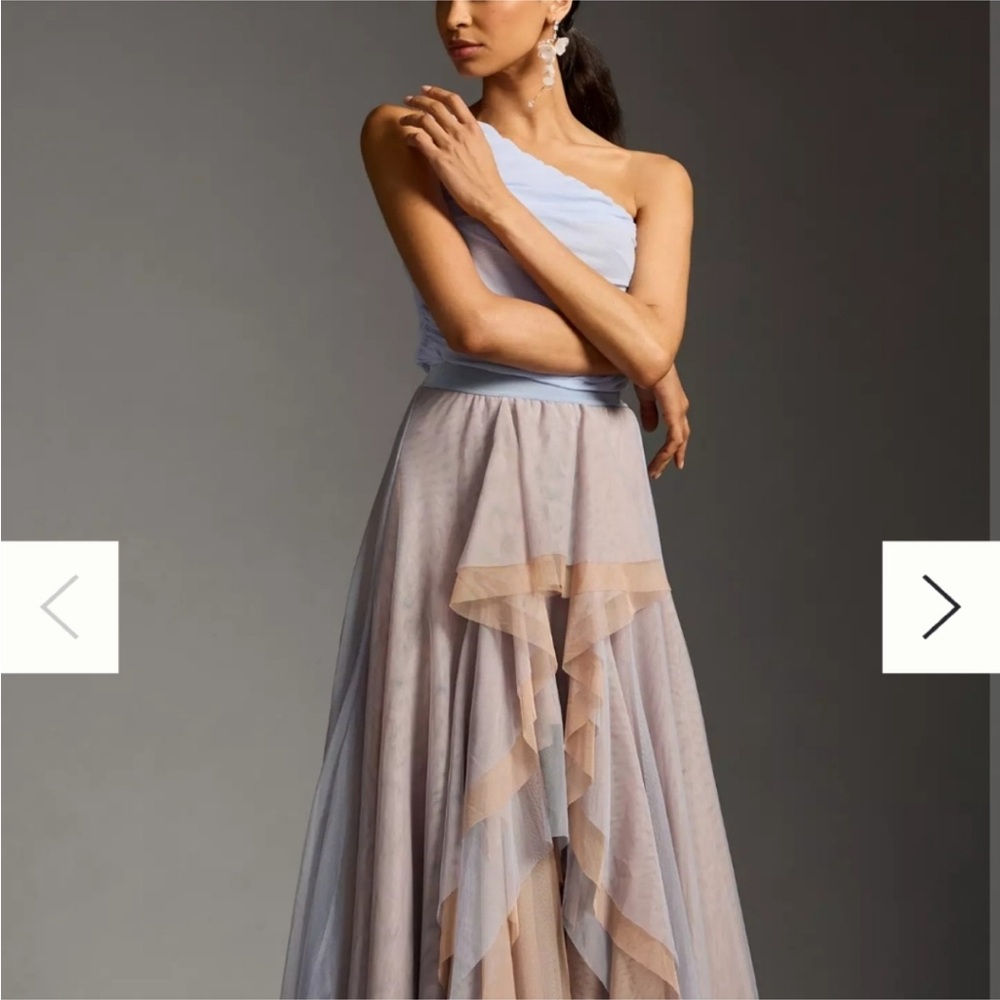 Anthropologie Ballet Skirt